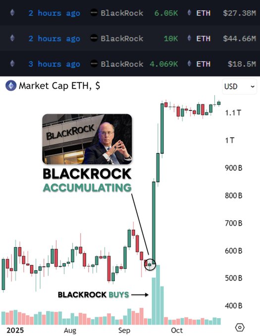 Alexius7754's tweet photo. ⚡️ $84M buy from Bitmine signals mega whale accumulation → ETH gearing for an ATH run!
📈 Season’s heating up, grab your bags and ride the wave. You already know what’s next. #vibe #cryptal #cryptalai #cryptalinsights @Cryptal_ai https://t.co/lvhHk4BxzR