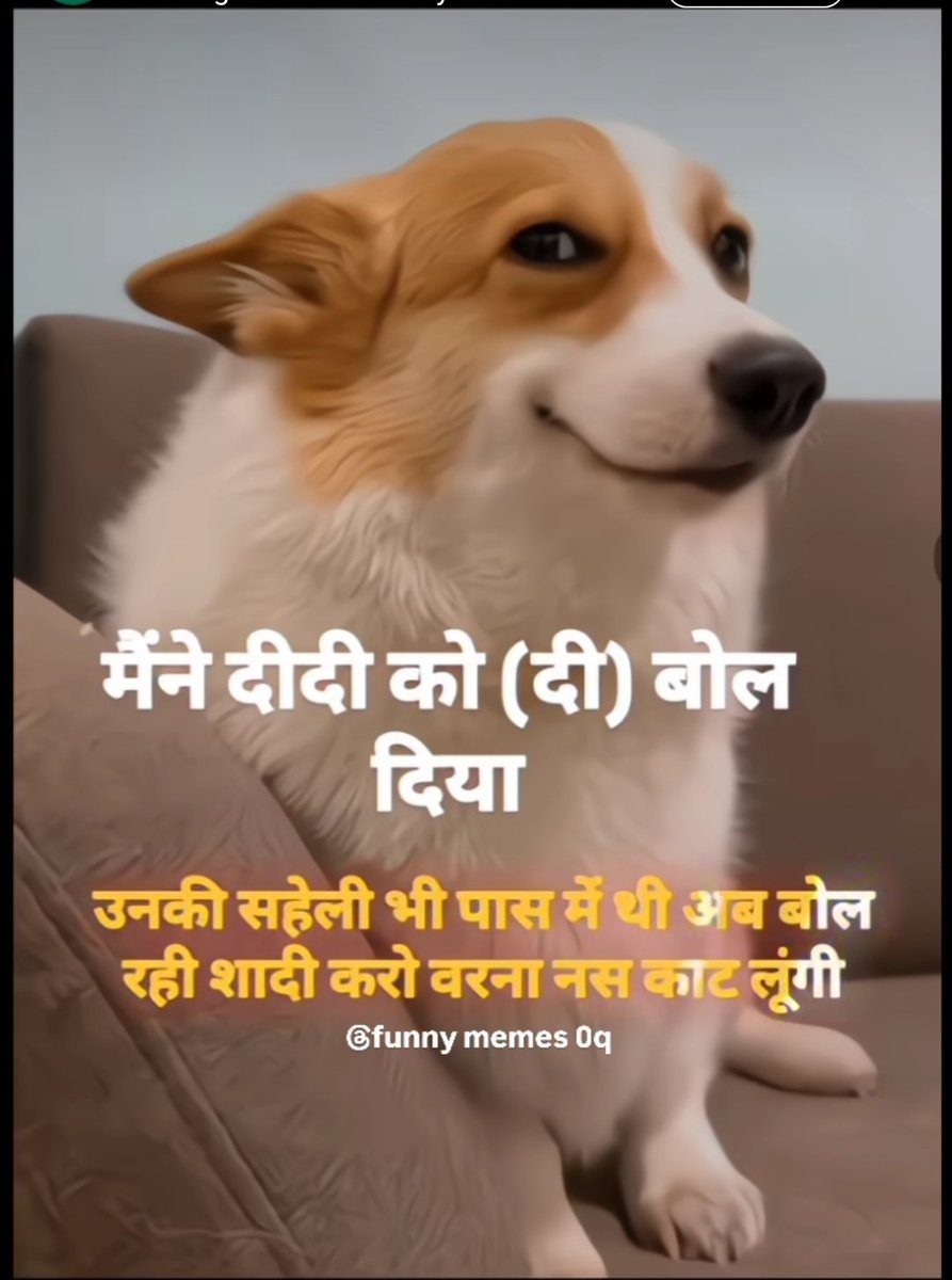 Kartik 😼 🇮🇳🚩 tweet media