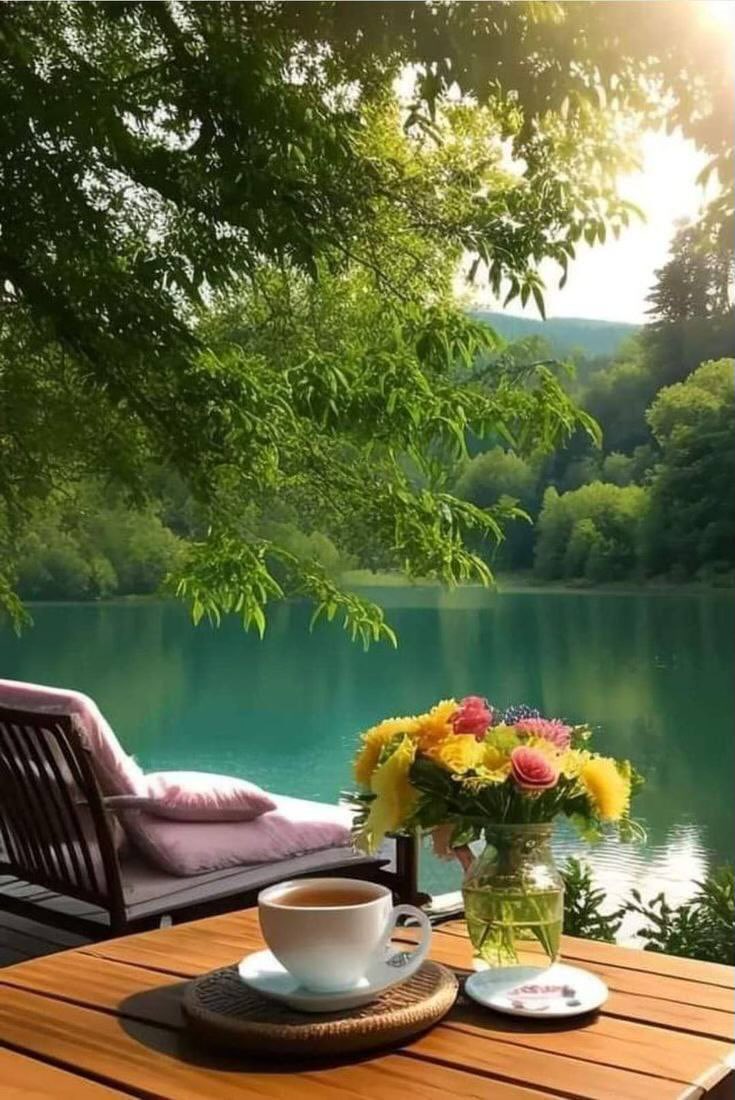 ا̍ڷڔٰا̍ڜد ּ 𝒜ℒℛ𝒜𝒮ℋ𝒟 tweet media