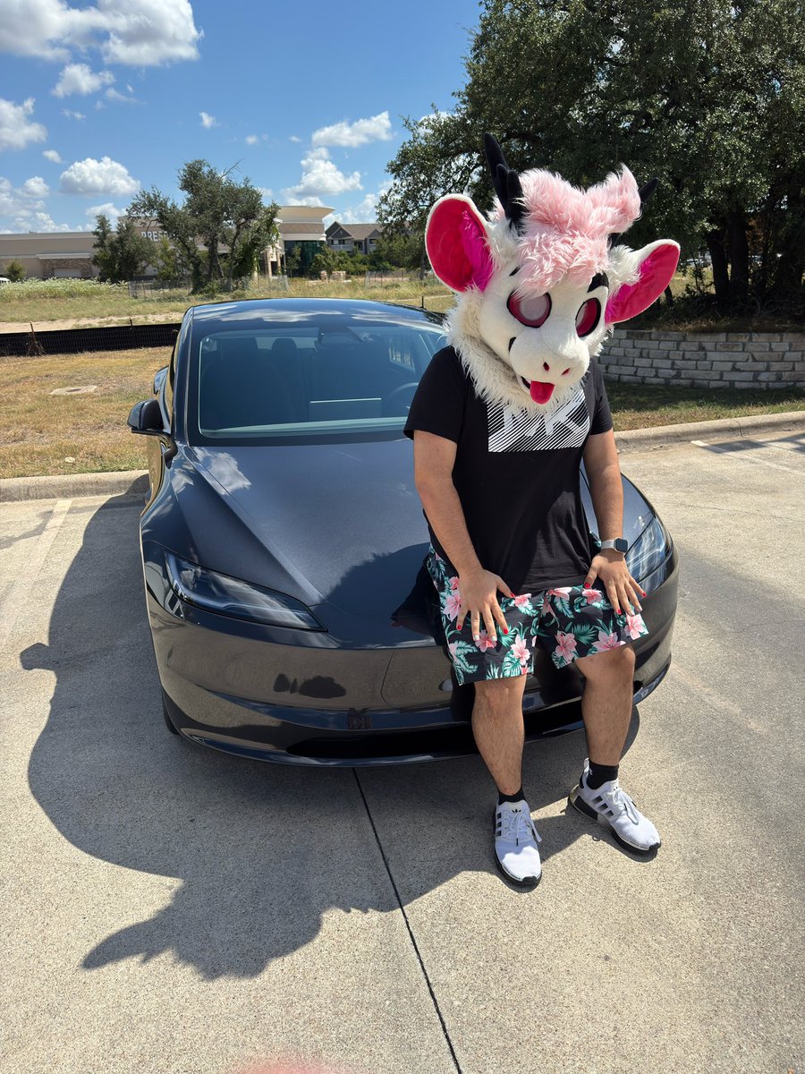 Who gave the derg a car?
#fursuit #furry #Tesla