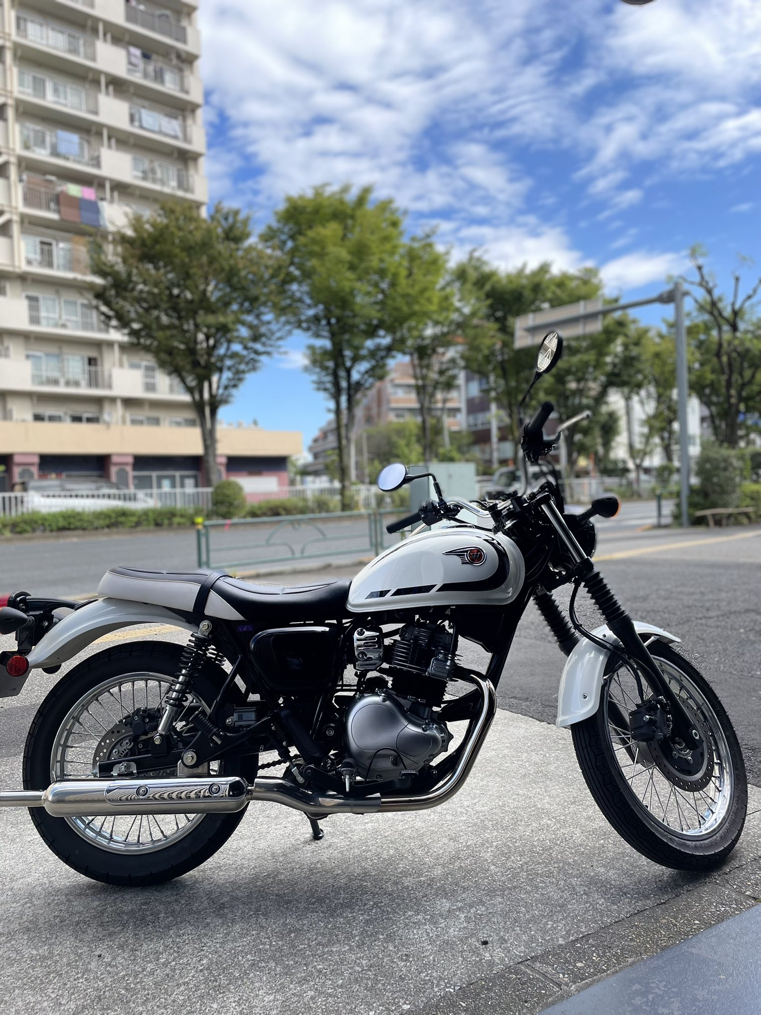dm20素子白1黒1BS2 moz モズ スニーカー レディース 黒 白 厚底 ローカット 軽量