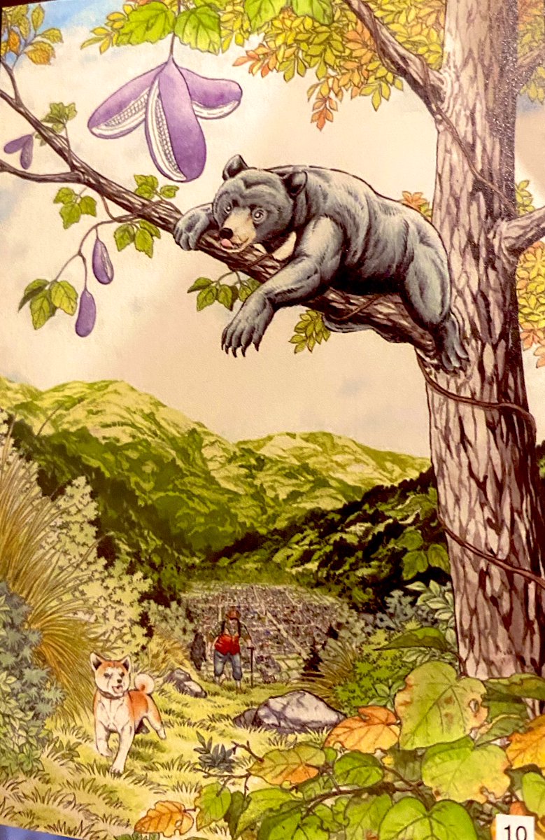 手ぬぐい 高橋よしひろ 手ぬぐい 高橋よしひろ 高橋よしひろ先生 手ぬぐい 高橋よしひろ先生