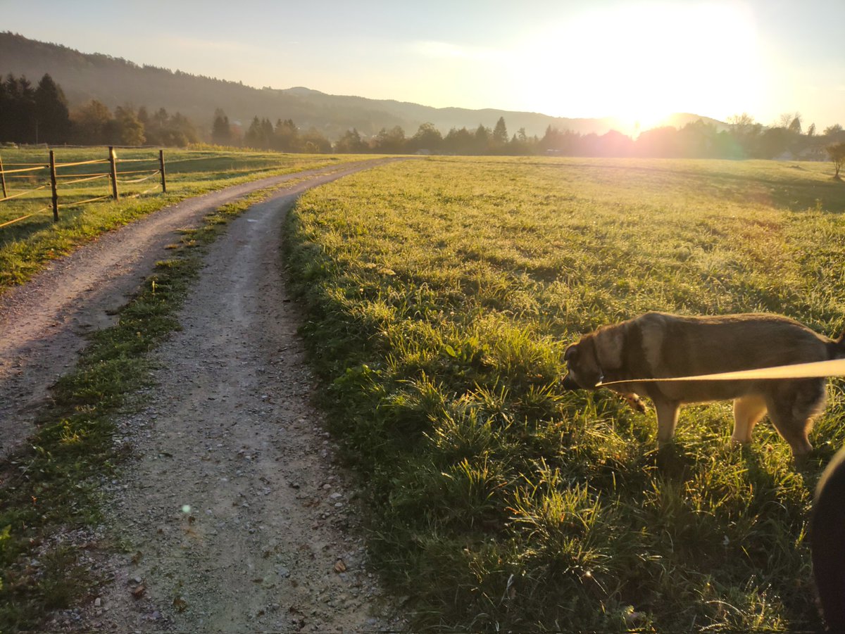 Jure Sah 🇪🇺🇸🇮 tweet media