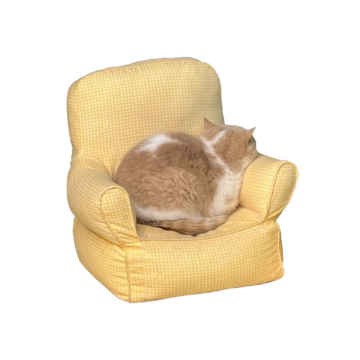 a n y a ⭒ tweet media