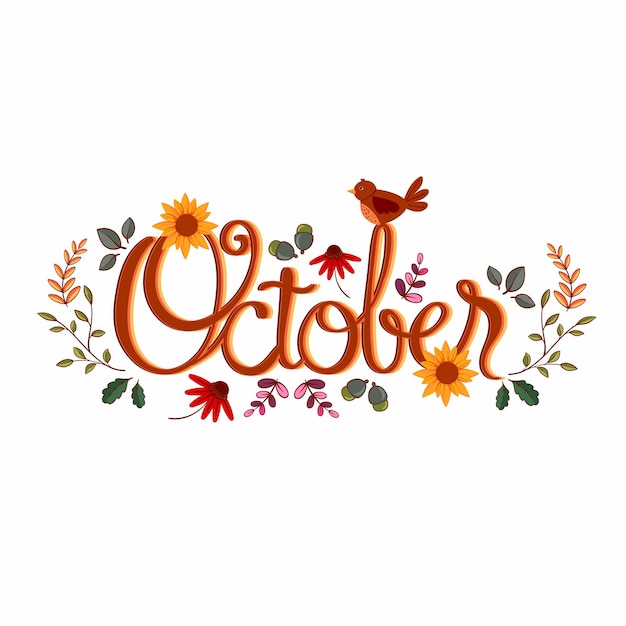 #october 
#🎁  keep ready ! 💥💥💥
Retweet 🔄will update 3 pm ! 🔥🔥🔥🙅
#moneytree🌲
#Archer✍️✍️✍️♥️💚