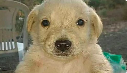 Bienvenido <a href="/elguana7/">Guana</a> ! TQM!!  Acá afuera tendrás mucho trabajo, te respalda tu talento y vaya que lo mostraste ahí adentro.  Aparte nos diste drama, twists, contenido. Fuiste todo menos un mueble. Misión cumplida! #LaCasaDeLosFamososMx #LCDLFMX3