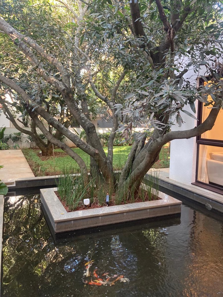 co_sahni's tweet image. Premium villas at Under the Sun, Devanahalli—spacious homes, modern design, world-class amenities, lush surroundings, and excellent connectivity near the airport.
#Devanahalli #LuxuryVillas #SpaciousHomes #ModernDesign #WorldClassAmenities #NearAirport SAHNICO.IN