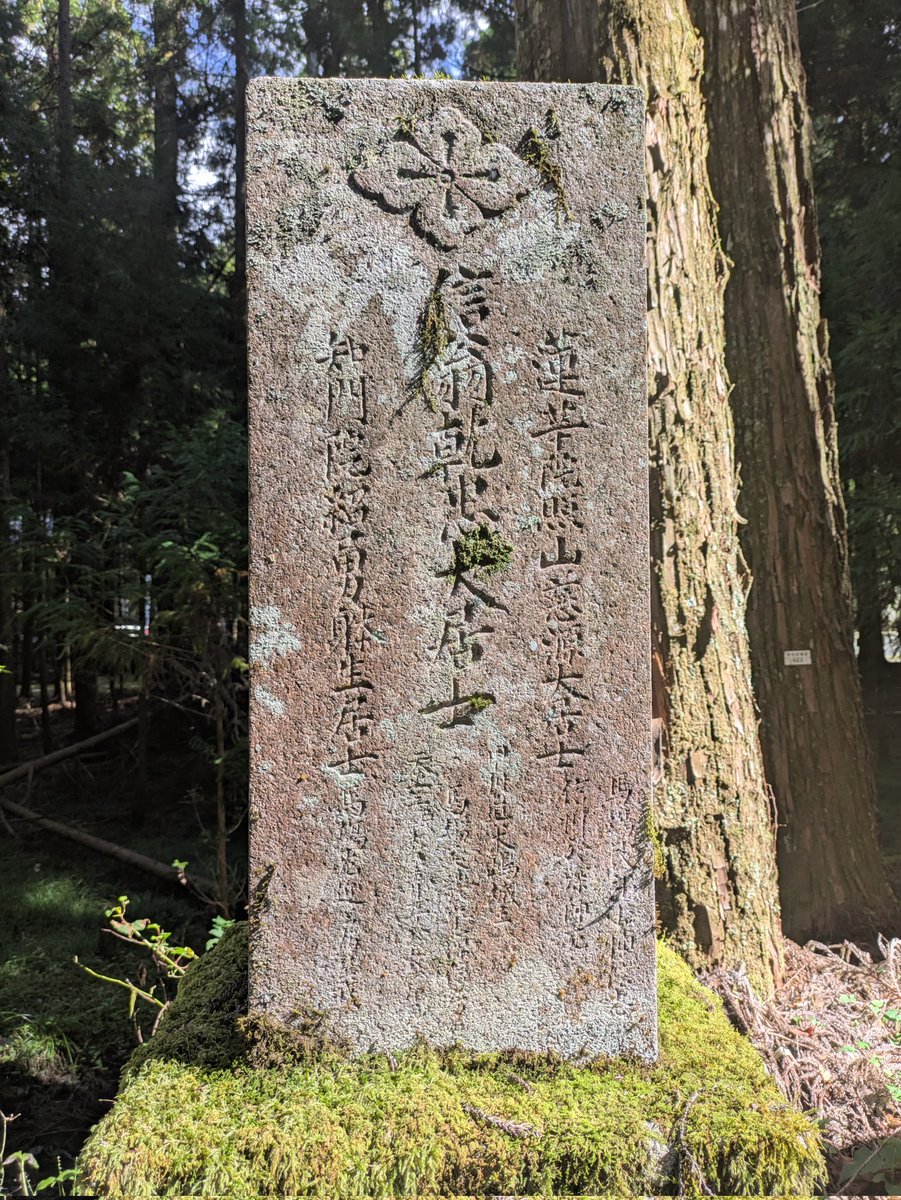 日光81 on X: 