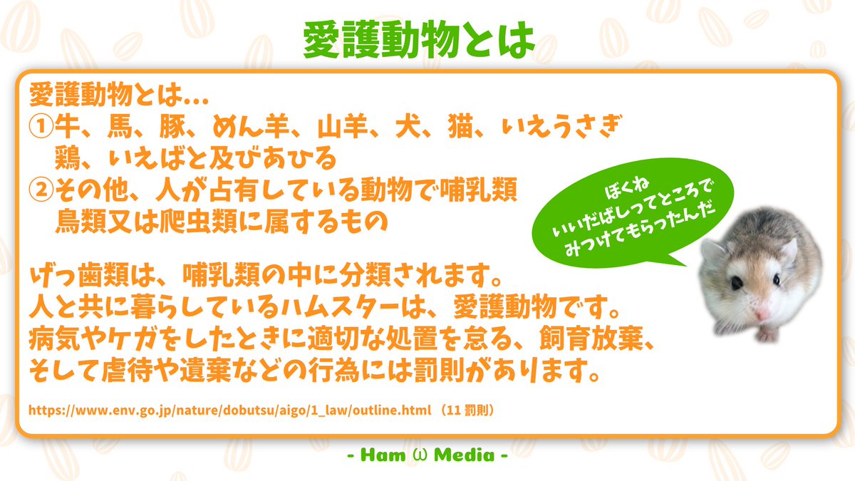 9/20〜9/26は動物愛護週間です。
当団体で保護対象としているハムスターも勿論、愛護動物に該当します。
近年改正予定の動物愛護法においては、小動物としてハムスターとウサギがメインに取り挙げられ、議論されているほどです。

1匹でも多くのハムスターがしあわせでありますように。

#ハムスター