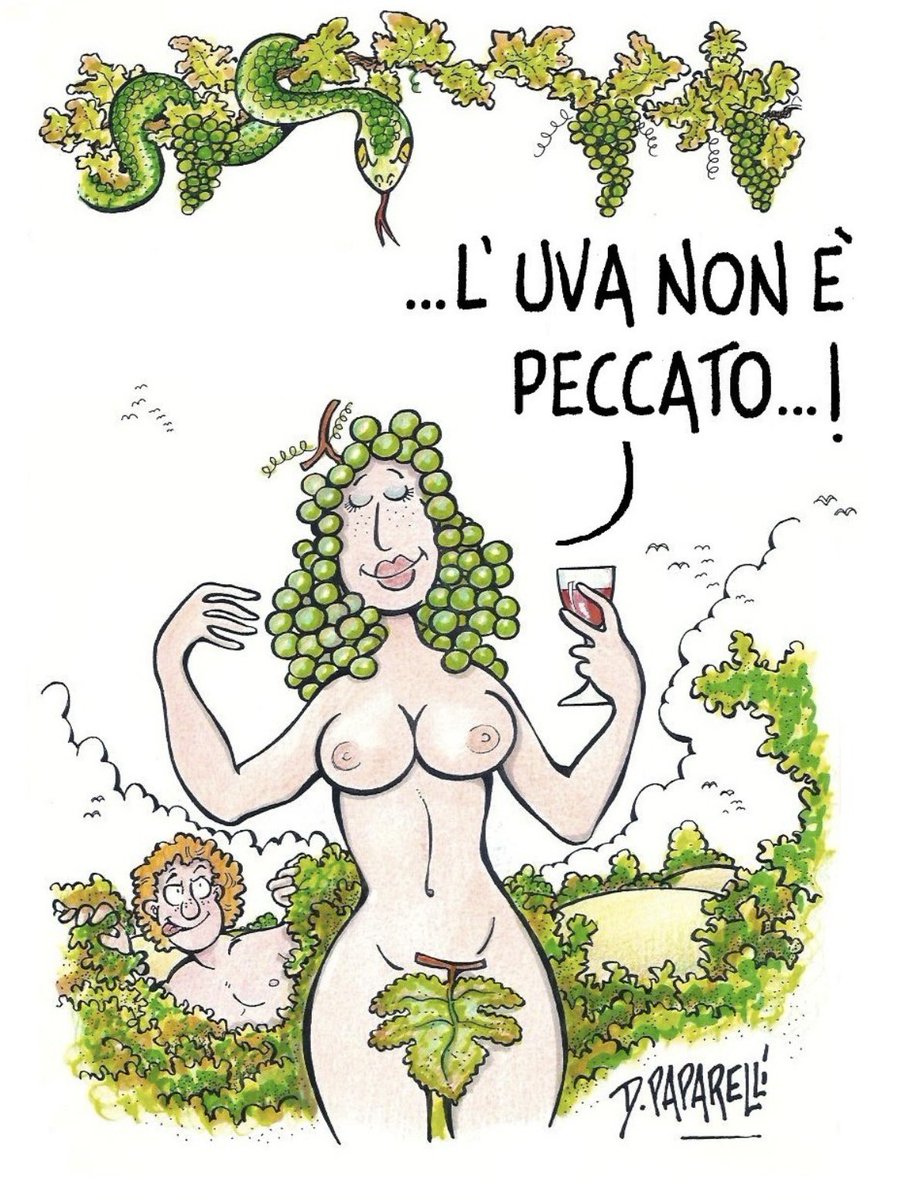 danilopaparelli's tweet photo. #Autunno, la #stagione della #vendemmia con il #fascino e la #tentazione di un buon #vino https://t.co/kxwB1GuObq