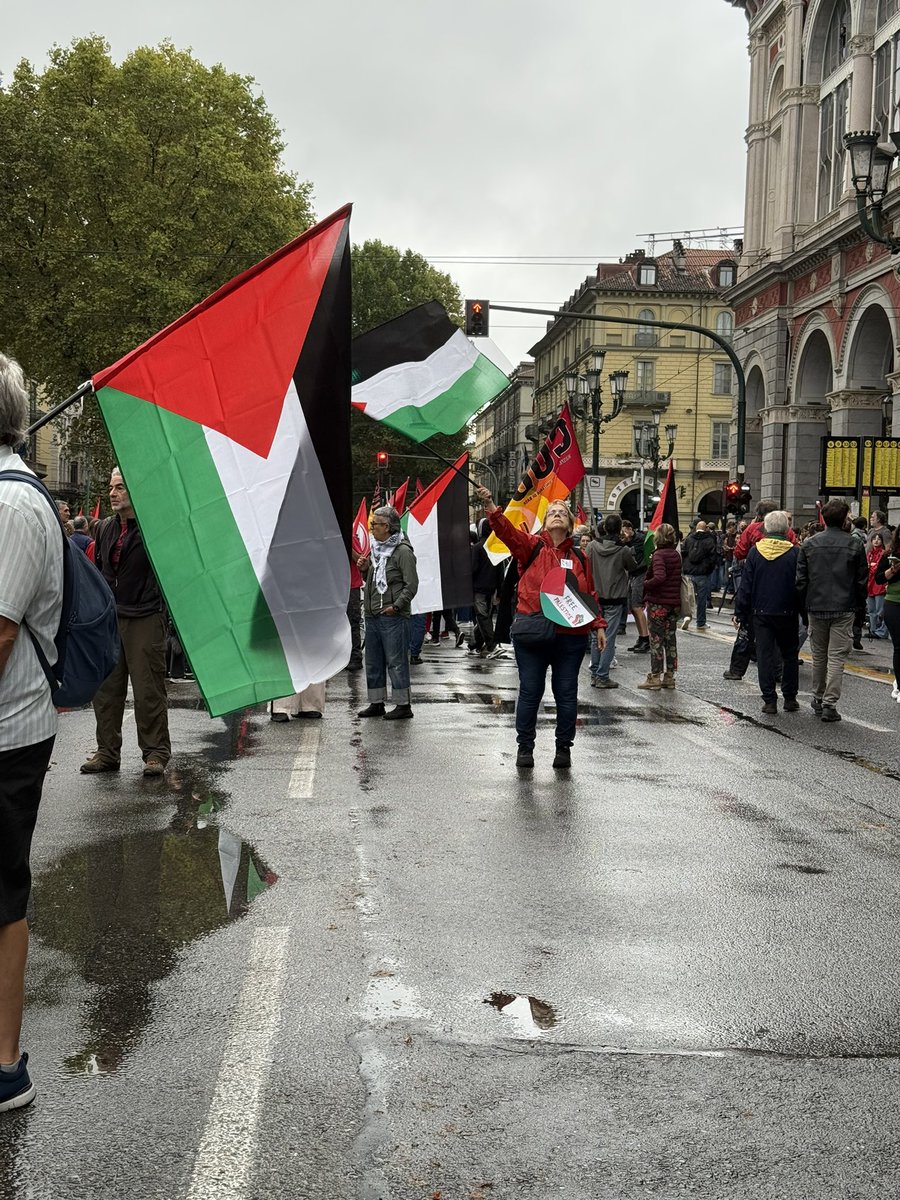 torino c’è 🍉 #FreePalestineNow