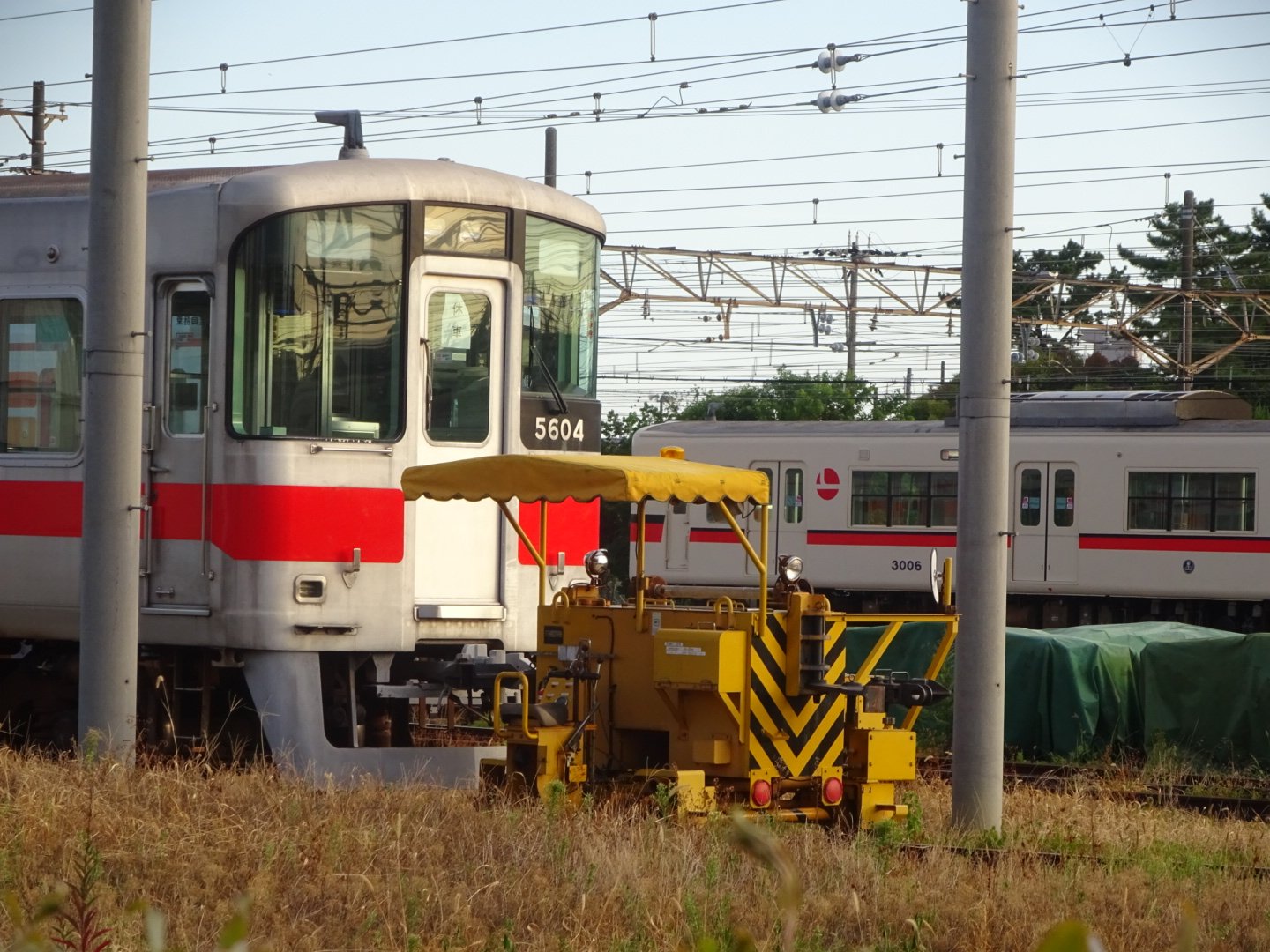 ママメロン (@msk_nippoichi) / X