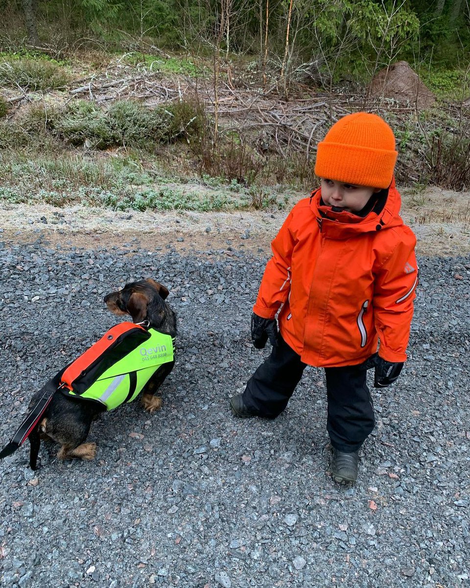 Tout le monde est prêt !

#ChienDeChasse #ChienDeVie #VieDeChienDeChasse #ChassePartage #Chasse #Passion