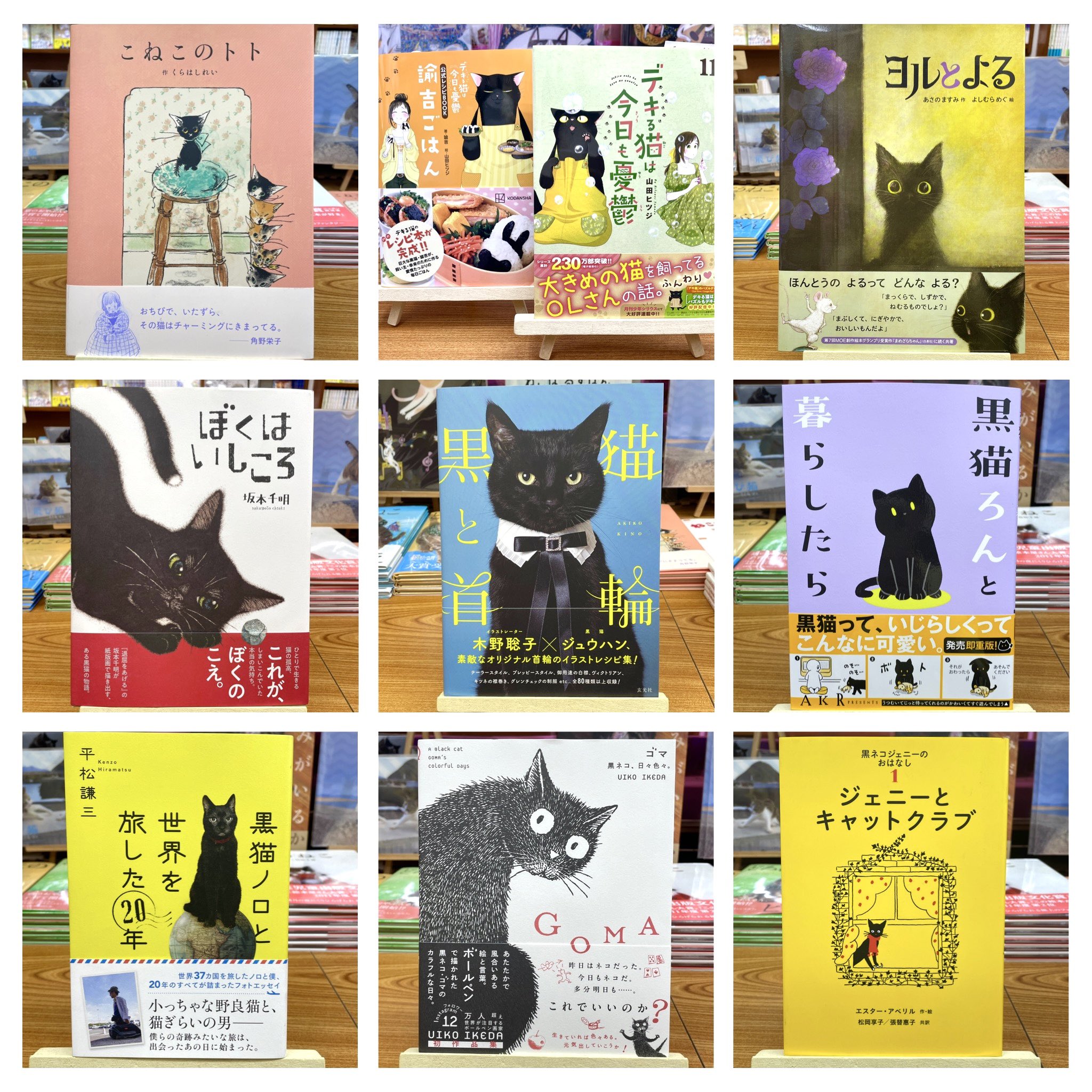 黒猫みんと QTq29MFaTG2I35q5.jpg