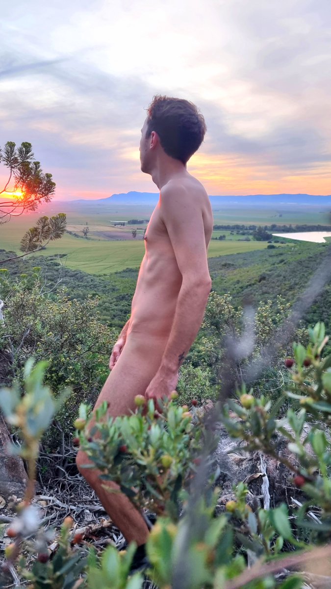 Just Shaun tweet media