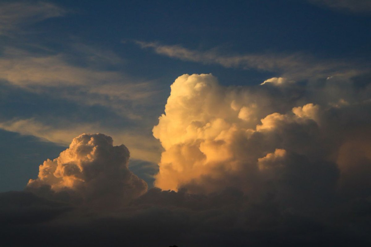 🌦⚡️ Ayer las #tormentas transcurrieron muy al N del #Altiplano, por el corredor de #Almansa, donde fueron puntualmente intensas.

📸🔝Así las captaba Rubén García: