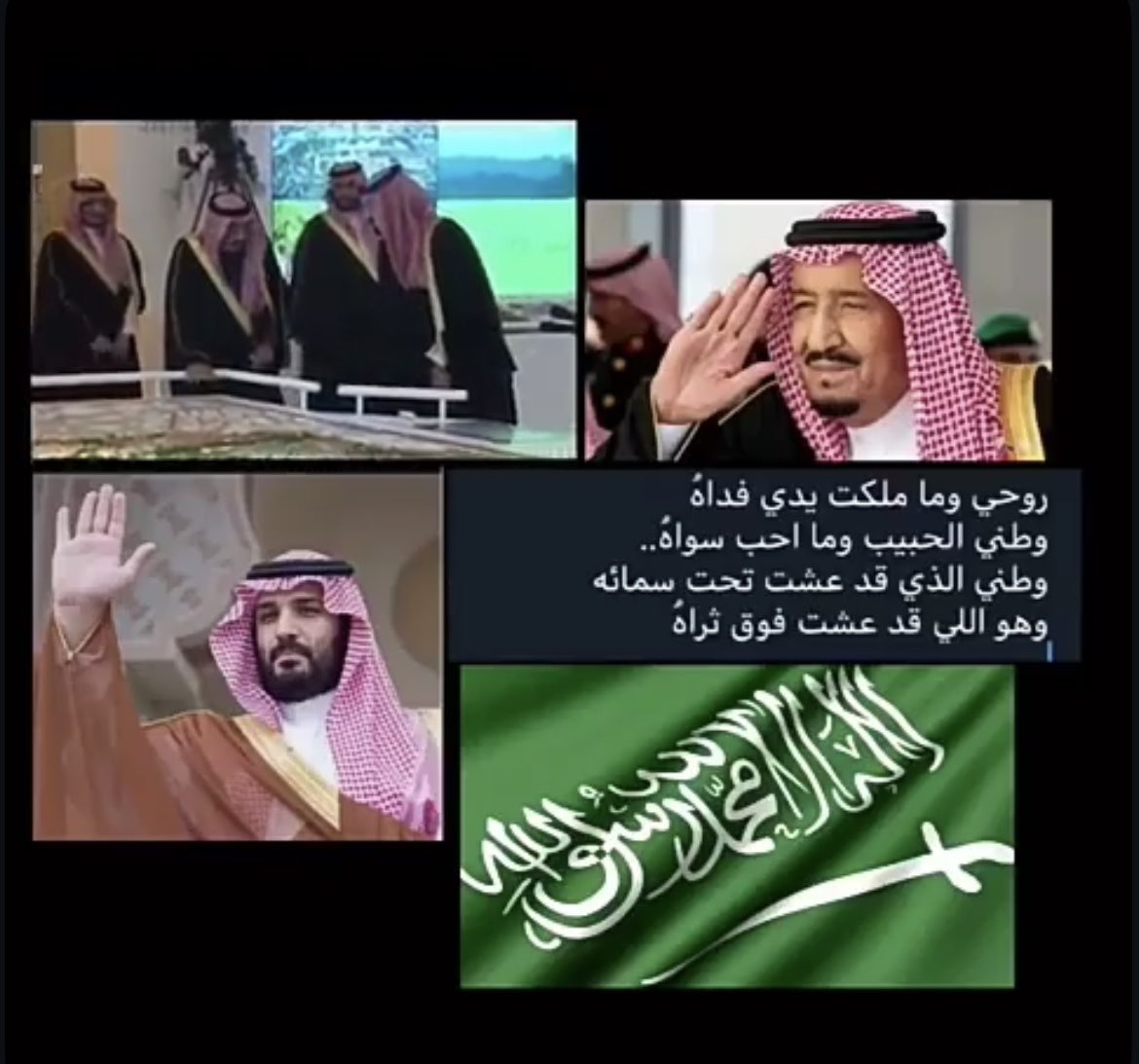 bt_xyo's tweet photo. 💚🌴🇸🇦🇸🇦🌴💚 https://t.co/uK85giMZdI