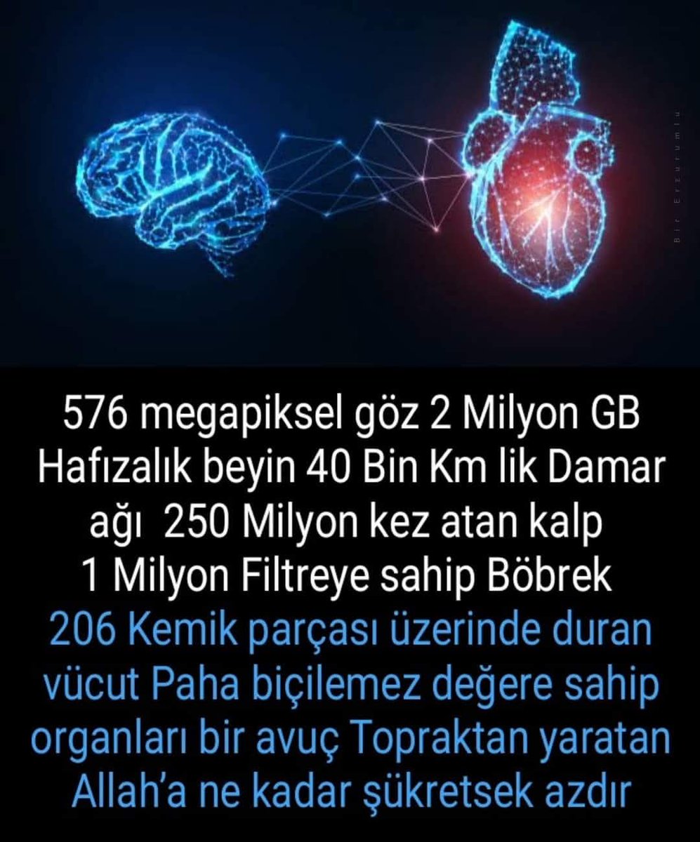 Muammer ÇAKIR (@cakirmuammer) on Twitter photo 