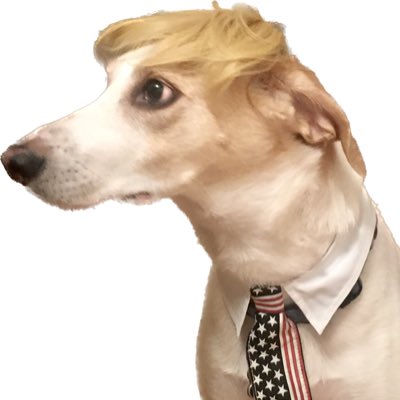 Roger Savage tweet media