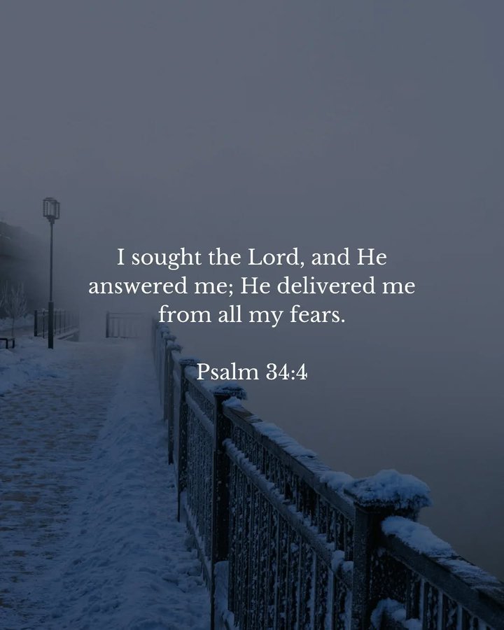 Bible 365 tweet media