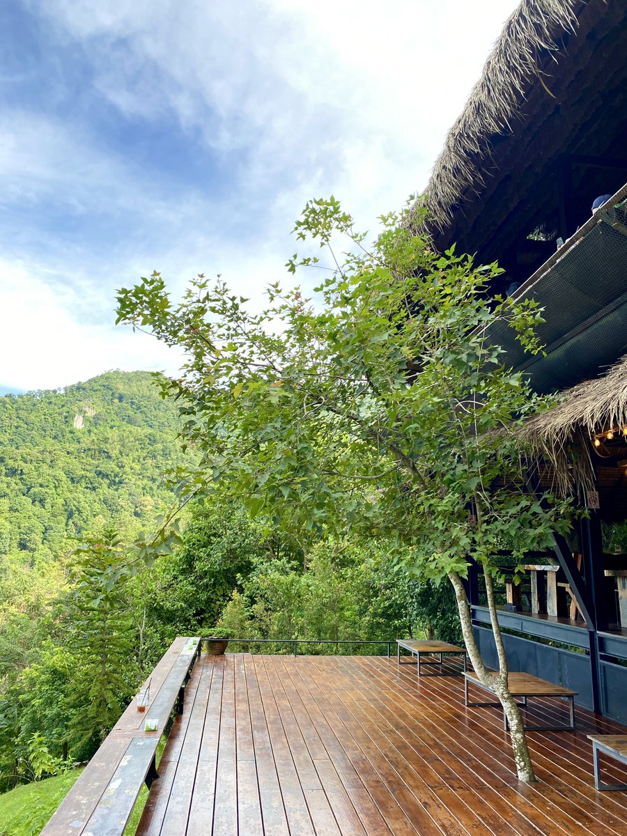 🌳สวนคุณปู่