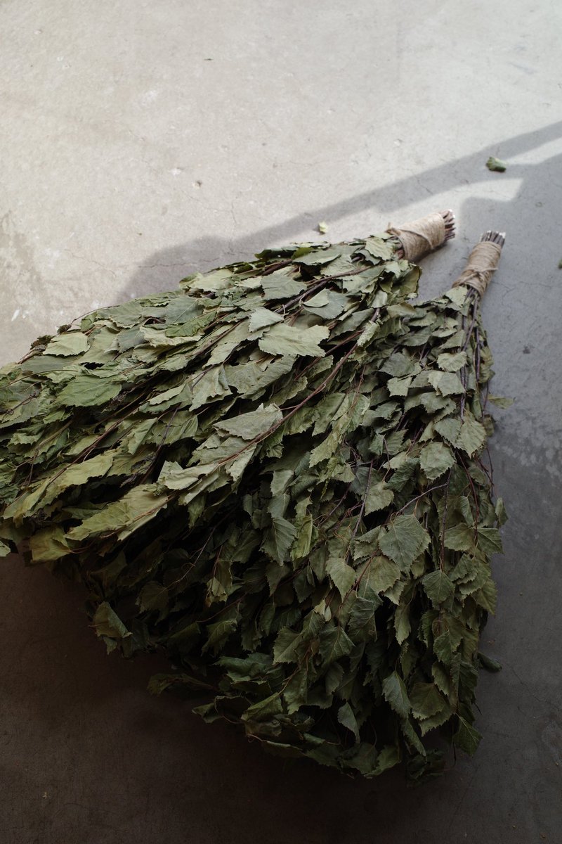 Vihta JP 【ヴィヒタジャパン】 (@vihta_jp) on Twitter photo 今年製作のものがラトビアから入ってきました✈️🇱🇻
ボリューム、香りとてもいいです🌿 今年製作のものがラトビアから入ってきました✈️🇱🇻
ボリューム、香りとてもいいです🌿