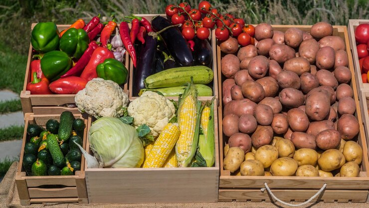 Farmers Mag South Africa tweet media