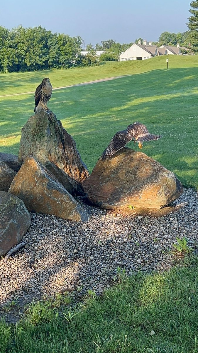 These are just som3 of our Aviation Experts! #HighFlyinHawks #BornHereDieHere