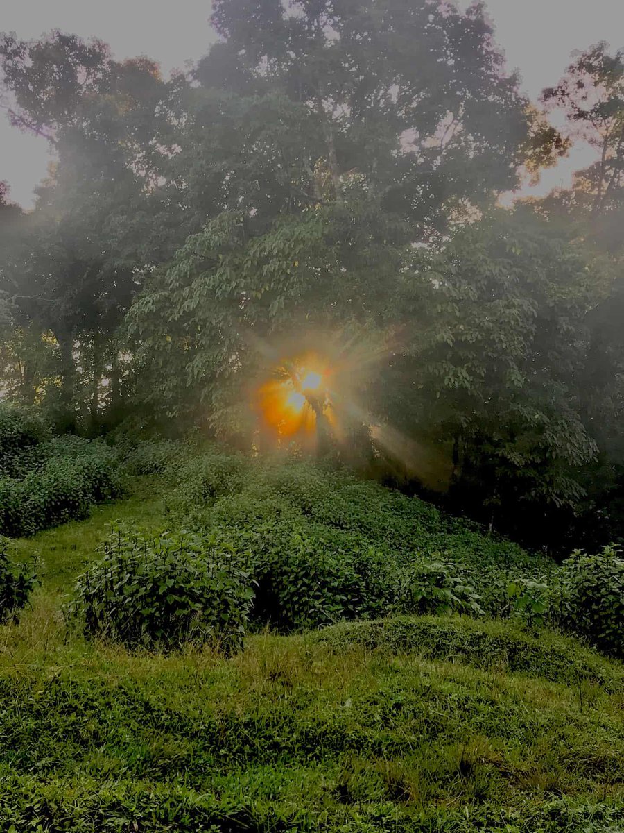 mizoraminsta's tweet photo. Location: Sailam, Mizoram
Pic credit 📷 fakawmaralte19
.
.
.
#sailam #landscape #landscapeview #greenery #greenlandscape #grass #greenhill #mizoram #mizoraminsta #northeastIndia https://t.co/jvWfJE66oF