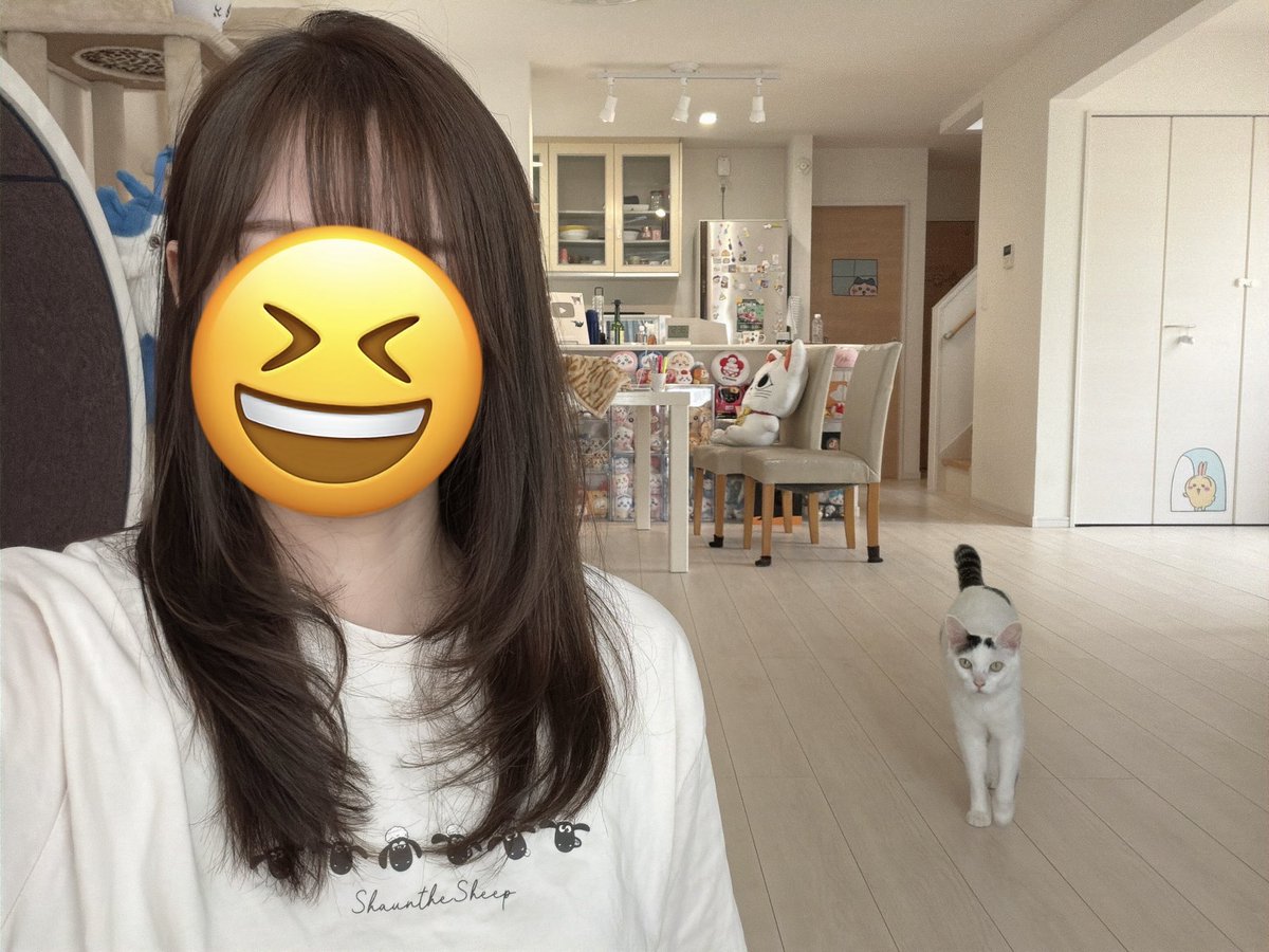 ねこほうママ tweet media