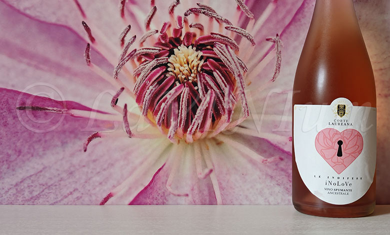 #degustazioni
LE INDIFESE iNoLove ROSÉ SPUMANTE ANCESTRALE CORTE LAUREANA
Secondo spumante metodo ancestrale, questa volta si tratta di un rosé da uve aglianico; quella di spumantizzare questo storico vitigno campano è una prassi che si sta diffondendo...
lavinium.it/le-indifese-in…
