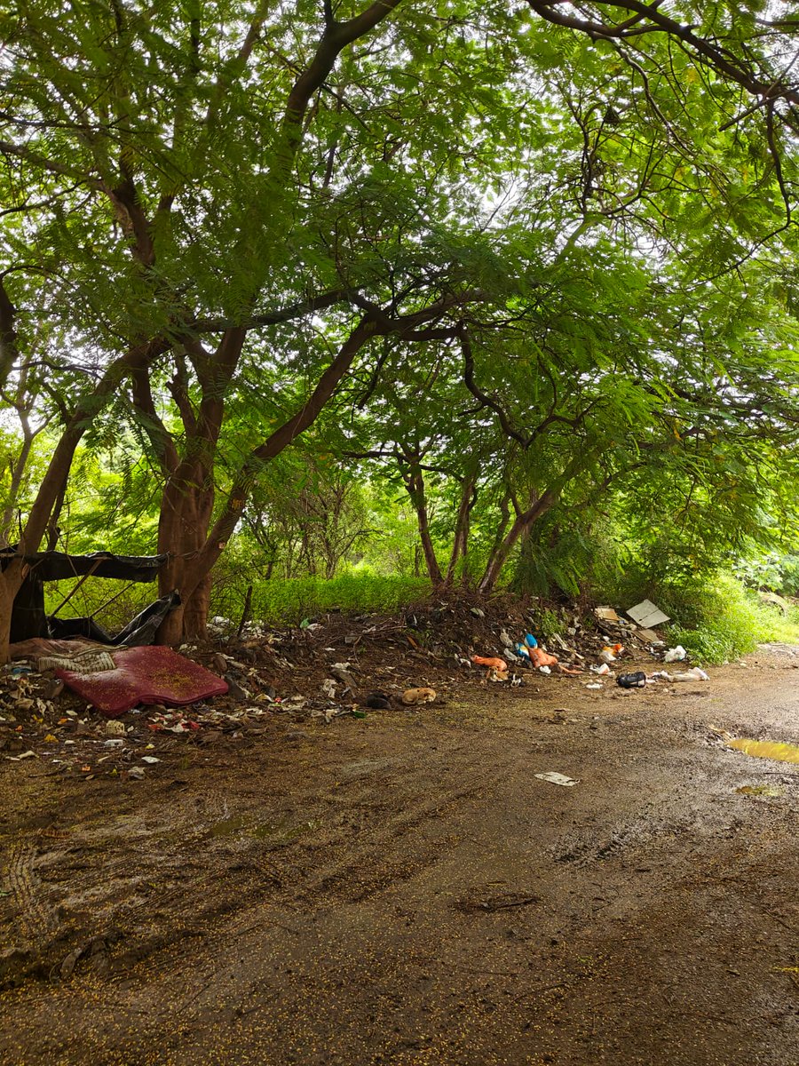 him_paliwal's tweet photo. Wadgaon Sheri residents are struggling daily!
Every morning, garbage is dumped openly, roads are unwalkable, and the smell is unbearable.
Despite taxes being paid.
Please act NOW!
@PMCPune @PMCMCO @pmccarepune  @Dev_Fadnavis @DivComPune @PuneCollector https://t.co/TDH5owaw3V