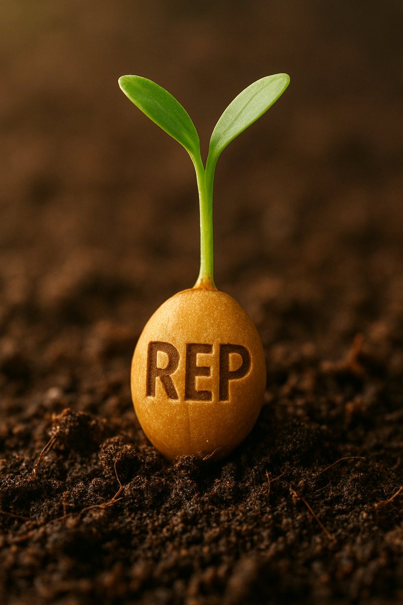 بریم برای حمایت طوفانی 

<a href="/GiveRep/">GiveRep</a> 

<a href="/creekfinance/">Creek Finance</a>