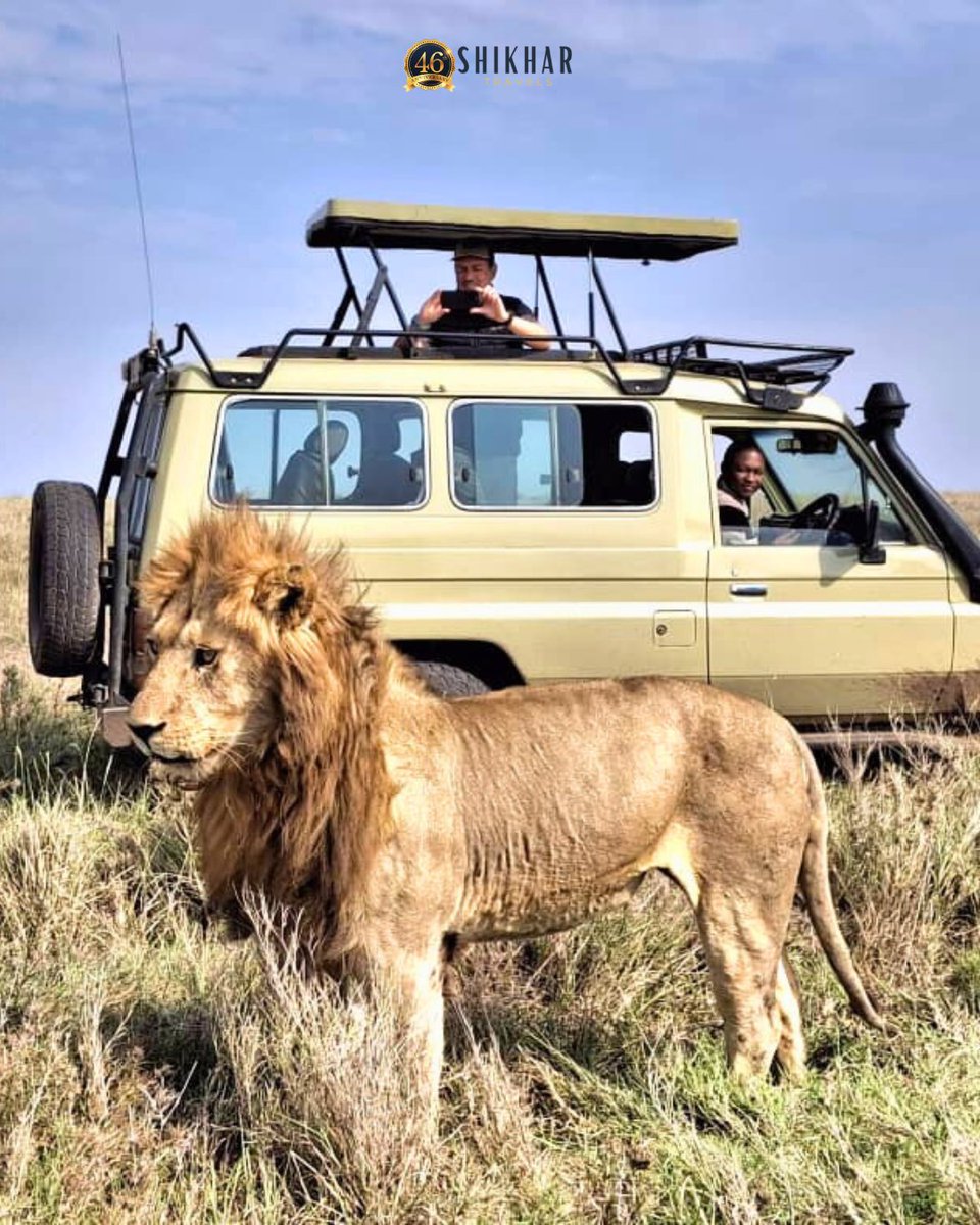 Lions, elephants, giraffes… oh my! 😍
Our clients had a roaring good time on their Tanzania Jeep Safari. Who’s ready to join the adventure? 🚙💨

Visit : shikhar.com/mt-kilimanjaro…

#shikhartravels #travelindia #adventurewithshikhar #explore #tanzania #lions #jeepsafari #besttime