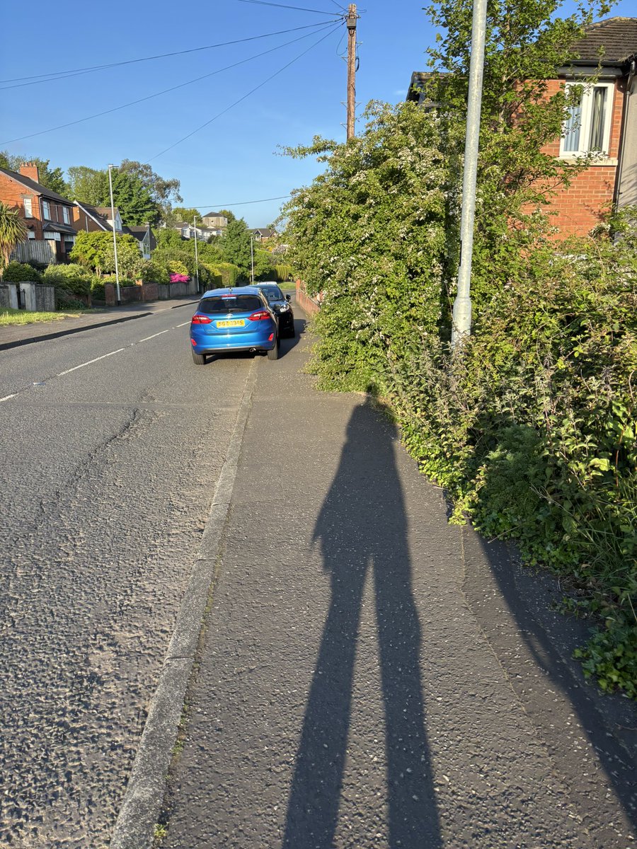 CliveKinnear's tweet photo. @CllrMichaelLong can you use your influence on BCC to get this hedge sorted please? This is a route used by Braniel PS children in their walk and is getting close to forcing them to step onto the road to pass. It’s outside 68 Lower Braniel Road https://t.co/D4K6UuwhZ1