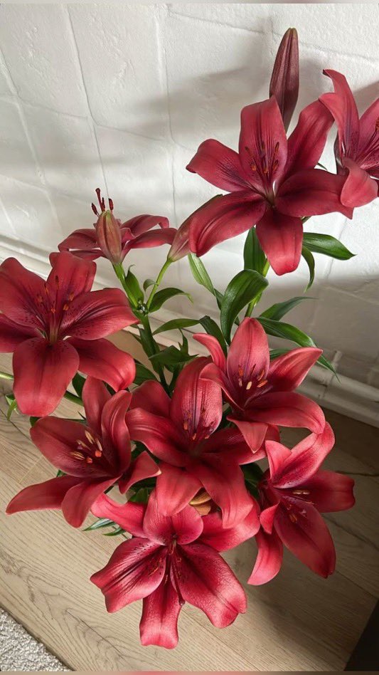 i3Moment's tweet image. Burgundy Lilies