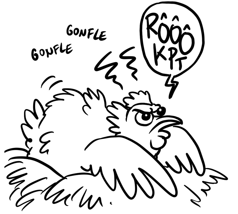 Bonjour bonjouuuur ! Aujourd'hui, je vous parle un peu de mes animaux ! melakarnets.com/index.php?post…