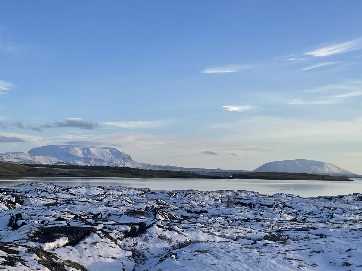 ヒッキー tweet media