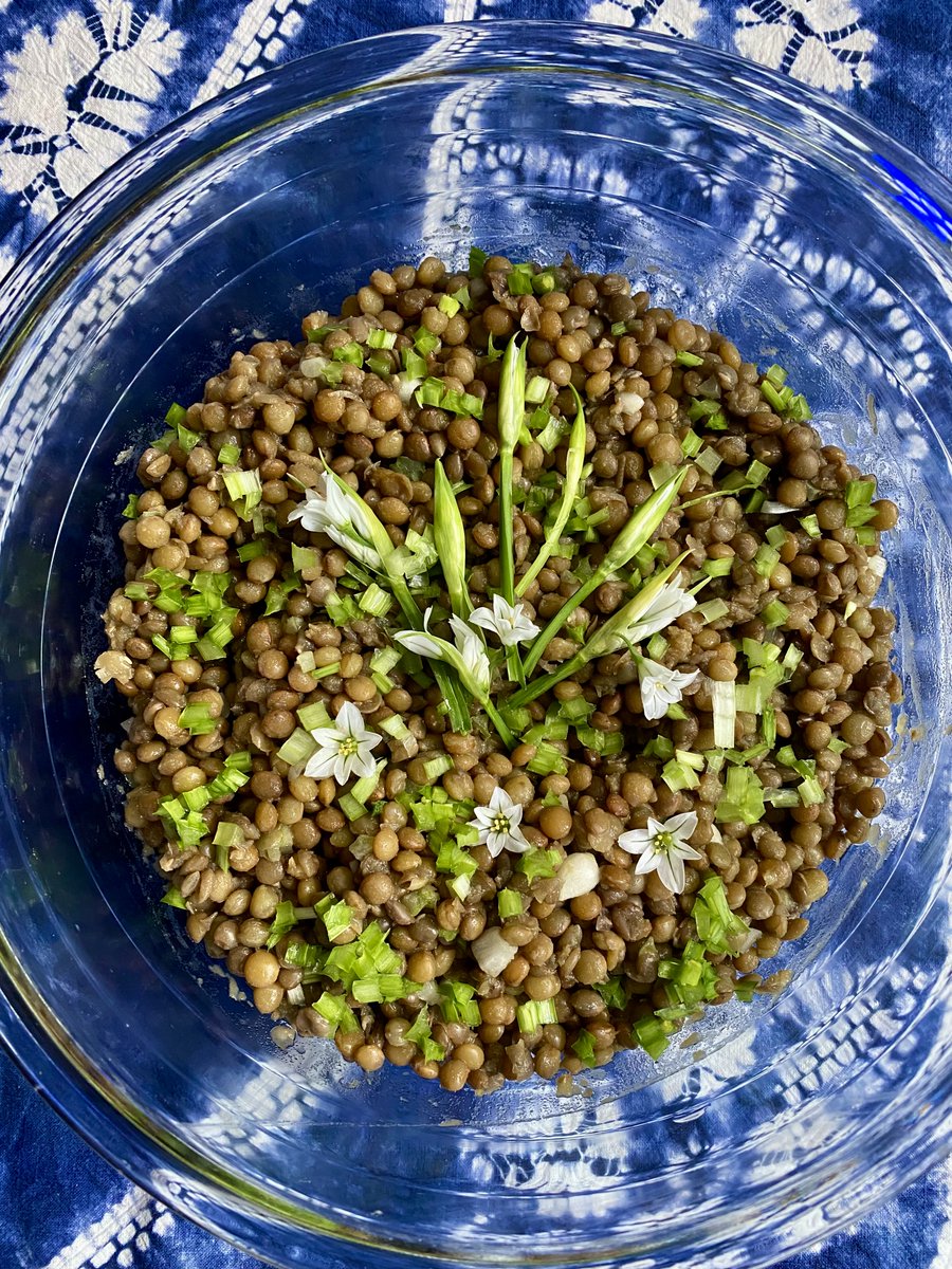 AleZec's tweet image. I forage and eat #flowers and #weeds: #Lentil salad with #onionweed cookingwithflowers.blogspot.com/2025/09/lentil…

#plantbased #vegan #Italianfood #italianvegan #foraging @vegsoc #vegetarian 
#healthyfood #eatwell #greenlifestyle #homecooking #lifestyle