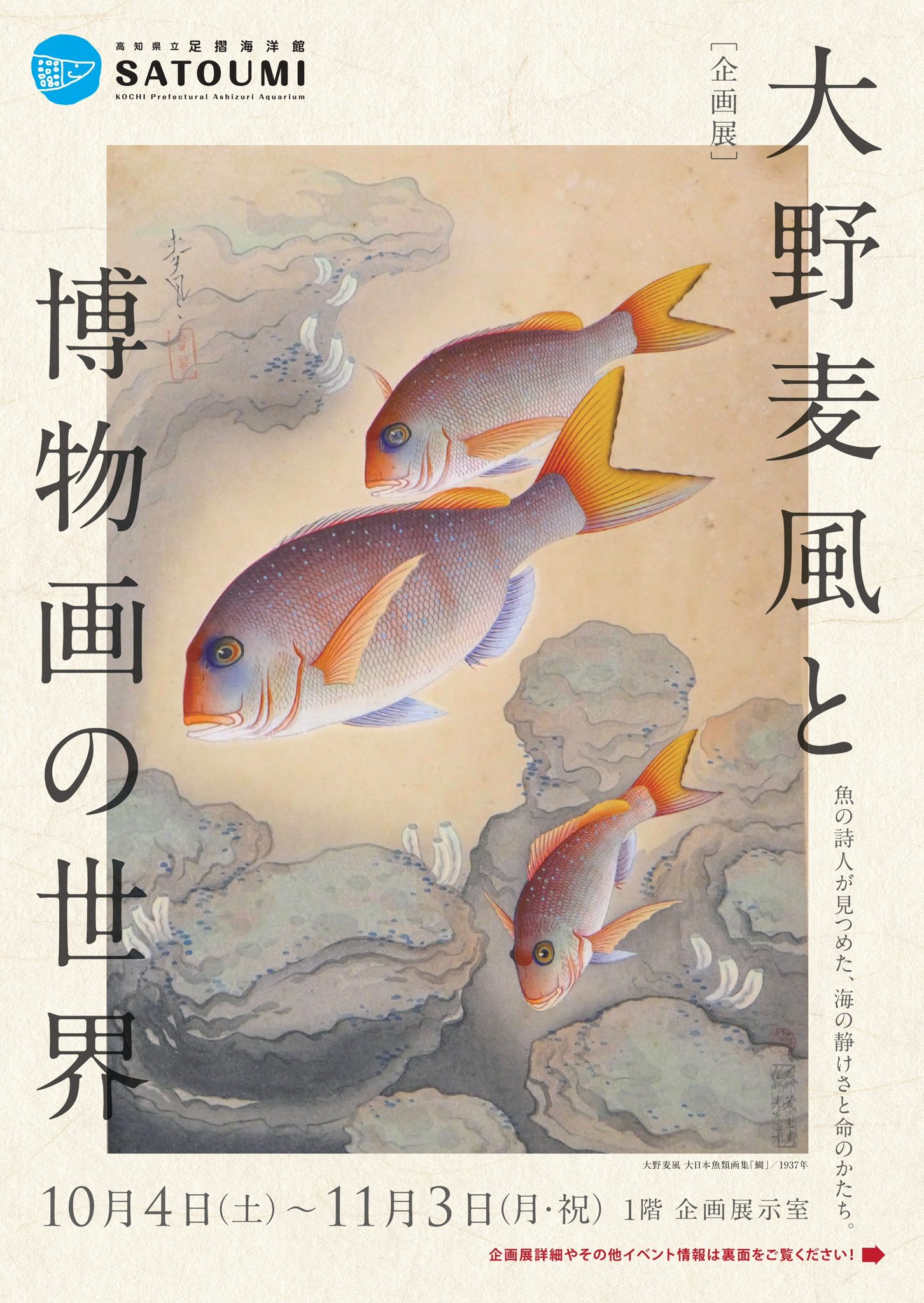 時代物 千年沈水黒木 東南アジアお守り神 沈水実験済み 古美術 WWWT070 時代物 千年沈水黒木 東南アジアお守り神 沈水実験済み 古美術