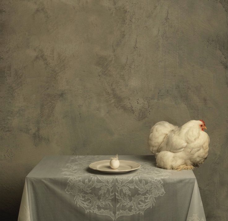 Fresh. 
🎨 Marie Cècile Thijs.