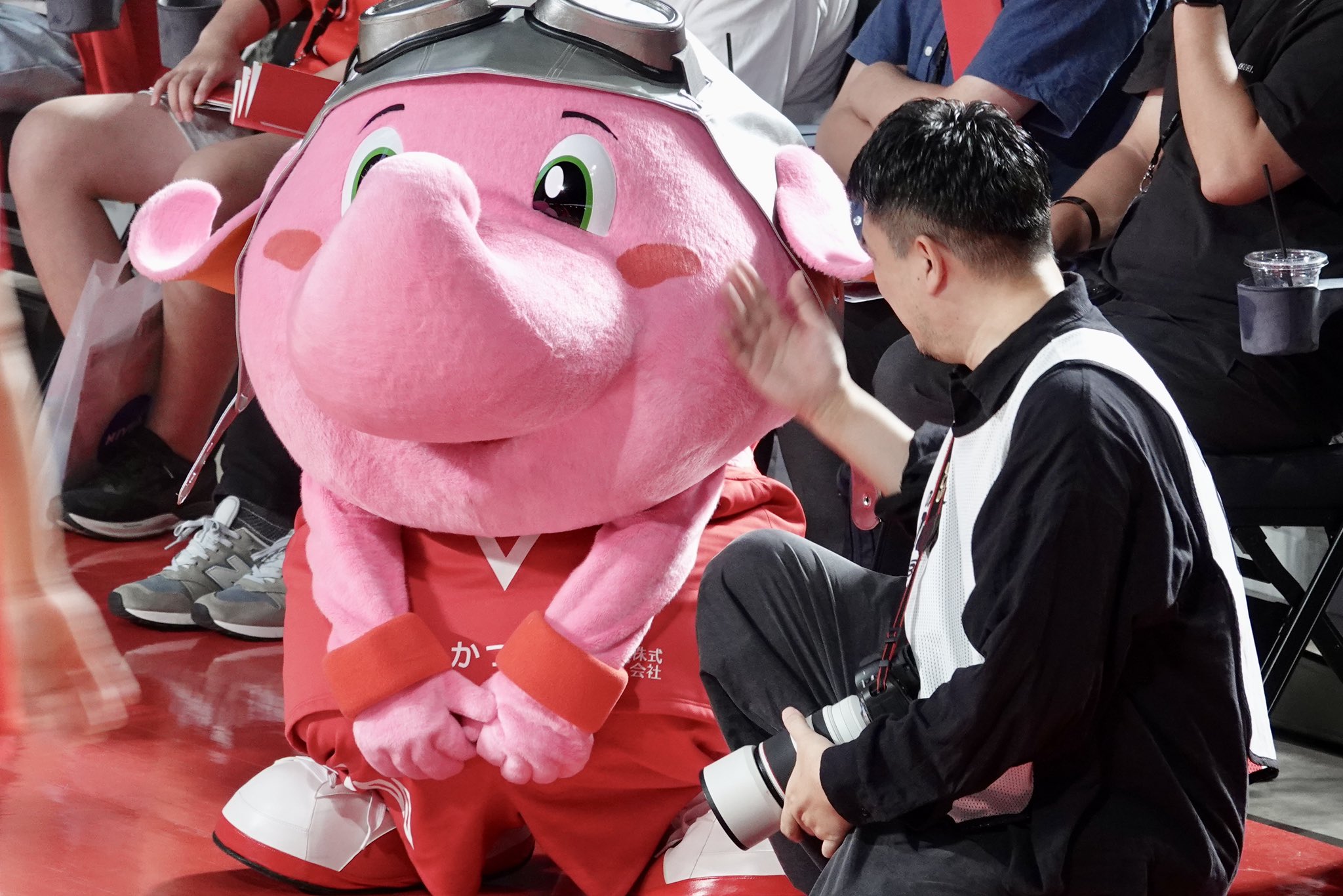 【ジャンボくん】おく洗 公式】ジャンボくん(千葉ジェッツふなばし) (@Jumbokun_GOJETS) / X