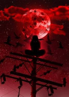 chase maddy tweet media