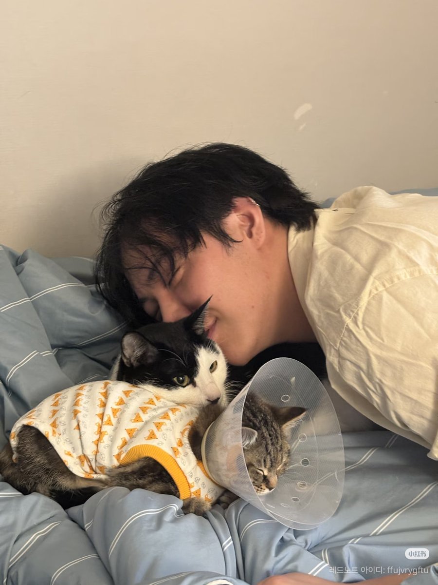 성호의 행복들이 다 나왔네🥹🥹