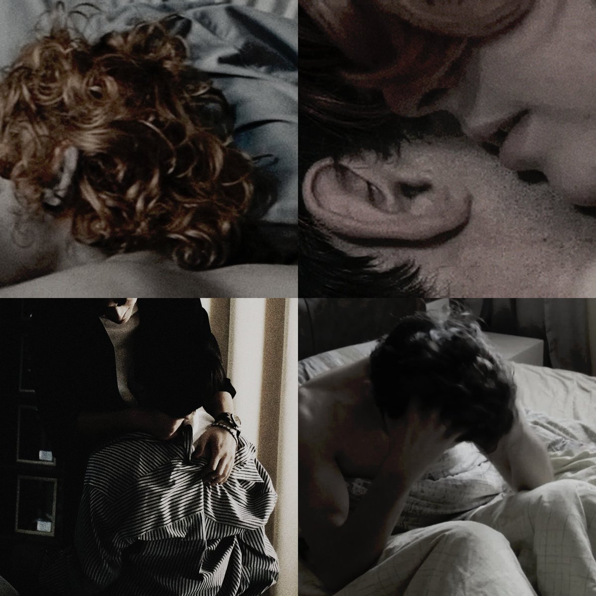 🐒 ⊹ ࣪ ˖°❀⋆ tweet media