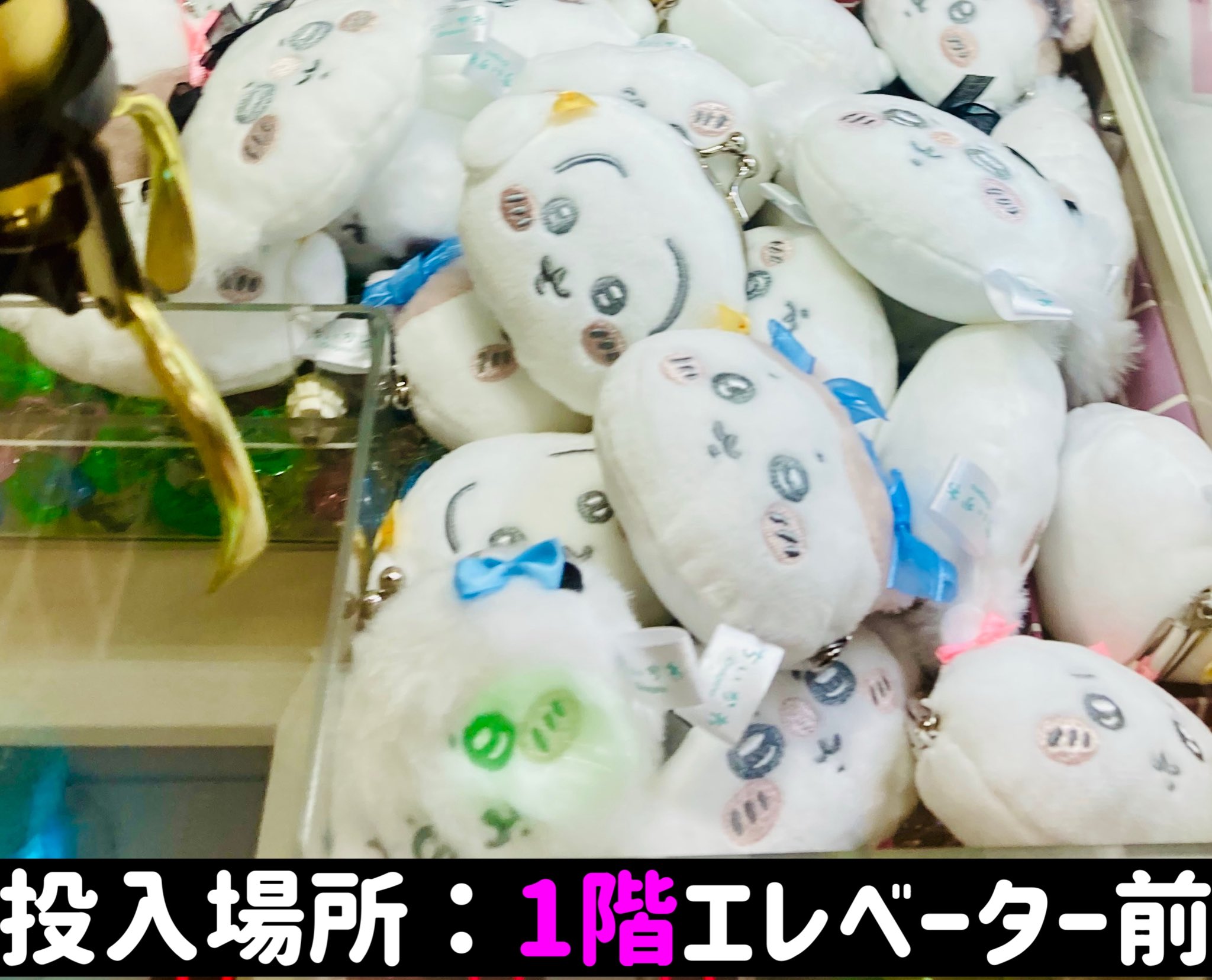 しなこ しなクマフルセット sameusamftop03.jpg