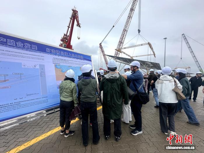 中外记者聚焦黄河入海口 解锁山东“绿色蝶变”密码