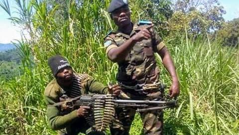 DRCNewsToday's tweet photo. 🚨 In #Nzibira (#SudKivu), M23/AFC rebels suffered a crushing defeat on Sept 21. Over 100 fighters neutralized by the brave #Wazalendo, with weapons seized. Nzibira remains under Congolese control. A strong show of resistance and patriotism. #M23OUT #DRC #WazalendoVictory https://t.co/qGBBSRlqoy