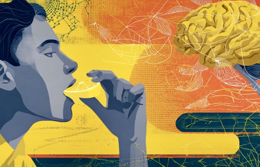 enilev's tweet image. 🧠 AI Reveals Bitter Taste Receptors’ Hidden Role in Gut-Brain Health

Research: Shibaura Institute of Technology (JP)

👉neurosciencenews.com/ai-taste-recep…

#AI #AlphaFold #Neuroscience 

      📍AI Upgrade: AlphaFold3 outperformed AlphaFold2 in predicting T2R structures.
 📍Structural…