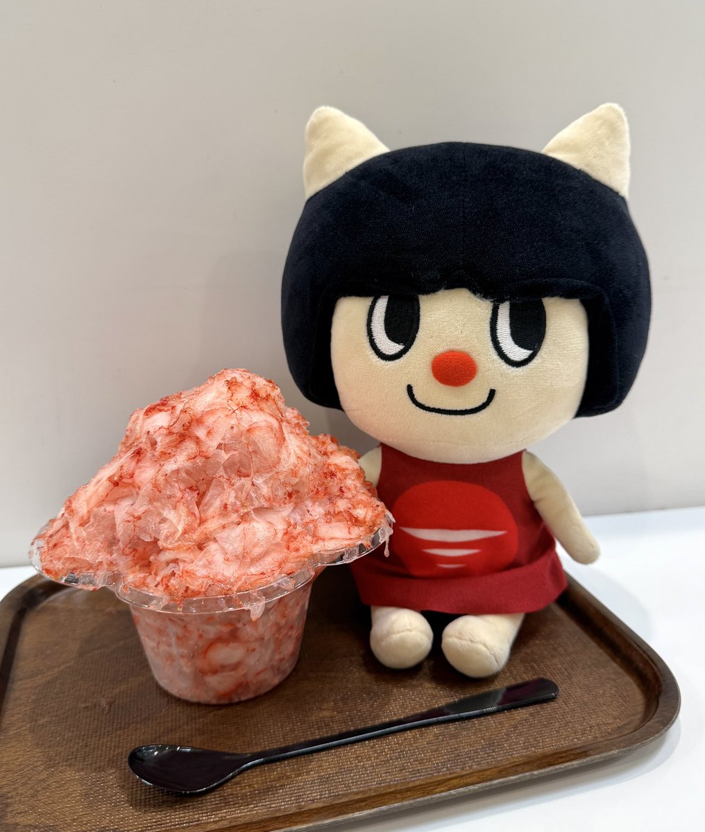 taiyokoho's tweet image. 少しずつ涼しくなってきましたね🍃
いかなキャットは“夏の最後のかき氷”を楽しみました🍧✨
皆さんの夏ラストスイーツも是非教えてくださいね😻💭
#かき氷
